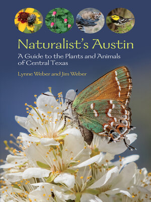 cover image of Naturalist's Austin